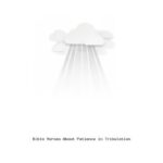 Bible Verses About Patience in Tribulation