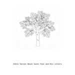 Bible Verses About Saint Paul and His Letters