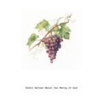 Bible Verses About the Mercy of God