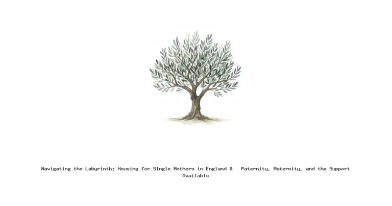 Navigating the Labyrinth: Housing for Single Mothers in England – Paternity, Maternity, and the Support Available